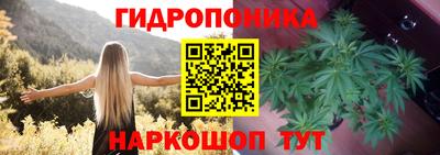 ГАЛЛЮЦИНОГЕННЫЕ ГРИБЫ Ипатово