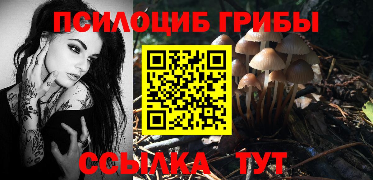 Галлюциногенные грибы Psilocybe Люберцы